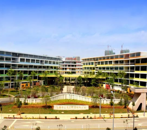  云南师范大学附属润城学校项目